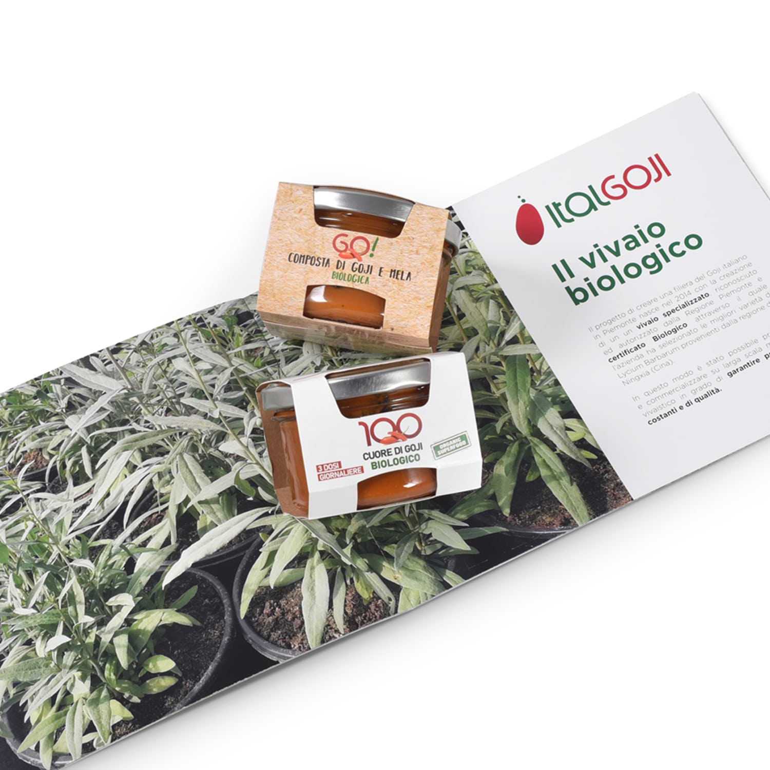 COMPOSTA DI GOJI E MELA BIO - 100G - immagine 6